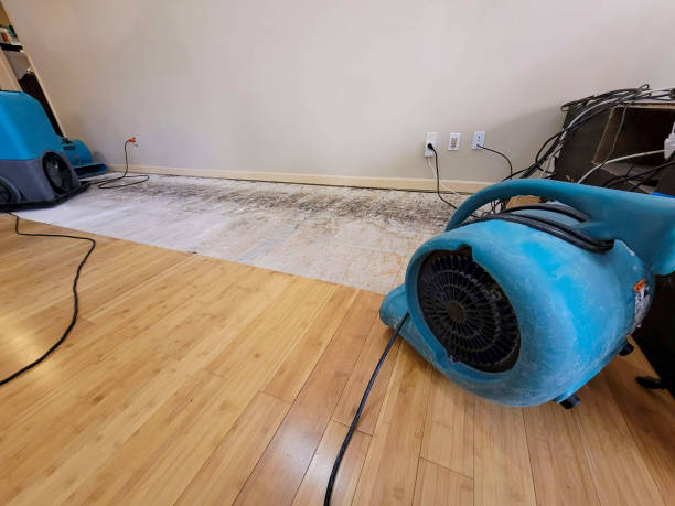 Professional Structural Drying technician working in Williamstown, WV